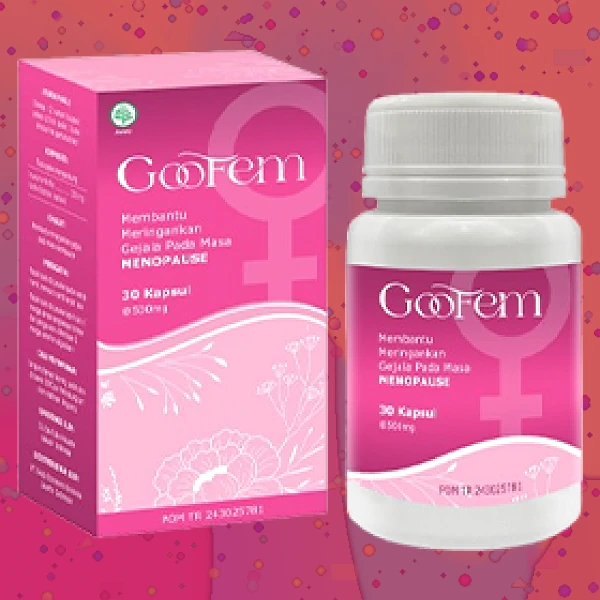 GOOFEM